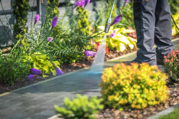 Best Sidewalk and Walkway Cleaning  in Three Rivers, CA