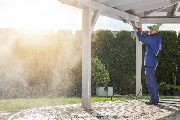 Best Pre-Holiday Cleaning  in Three Rivers, CA